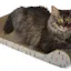 Kitty Couch by Feline Be Mine