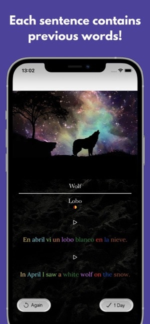 Spanish FlashVo gallery image