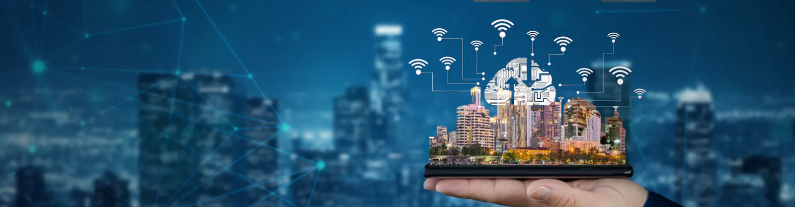Wireless Solutions Development Company screenshot 1