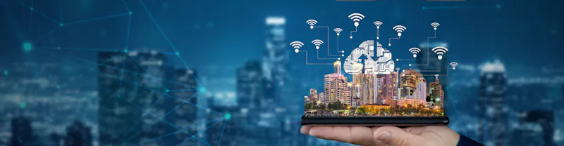 Wireless Solutions Development Company screenshot 1
