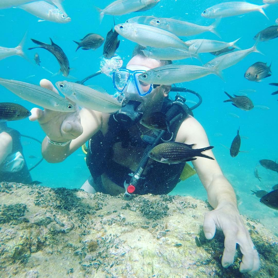 Aktivido gallery image