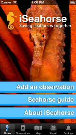 iSeahorse gallery image