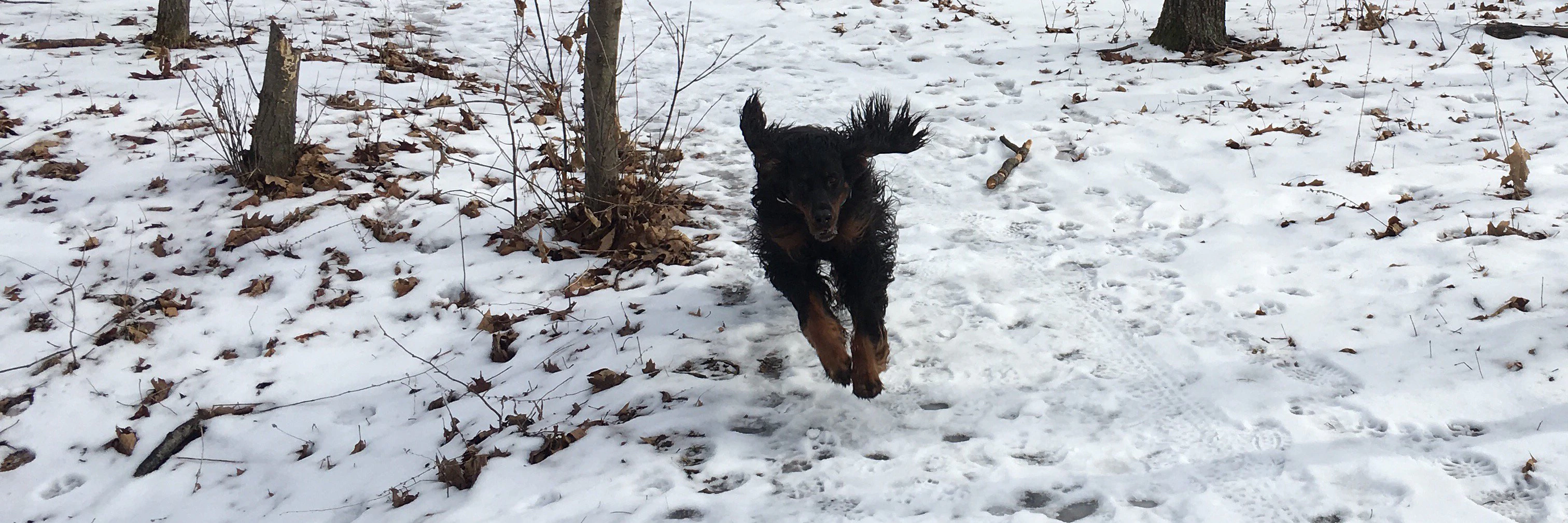 Jamie Rytlewski cover