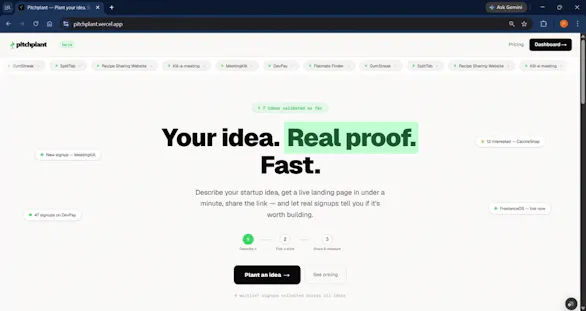 Pitchplant gallery image