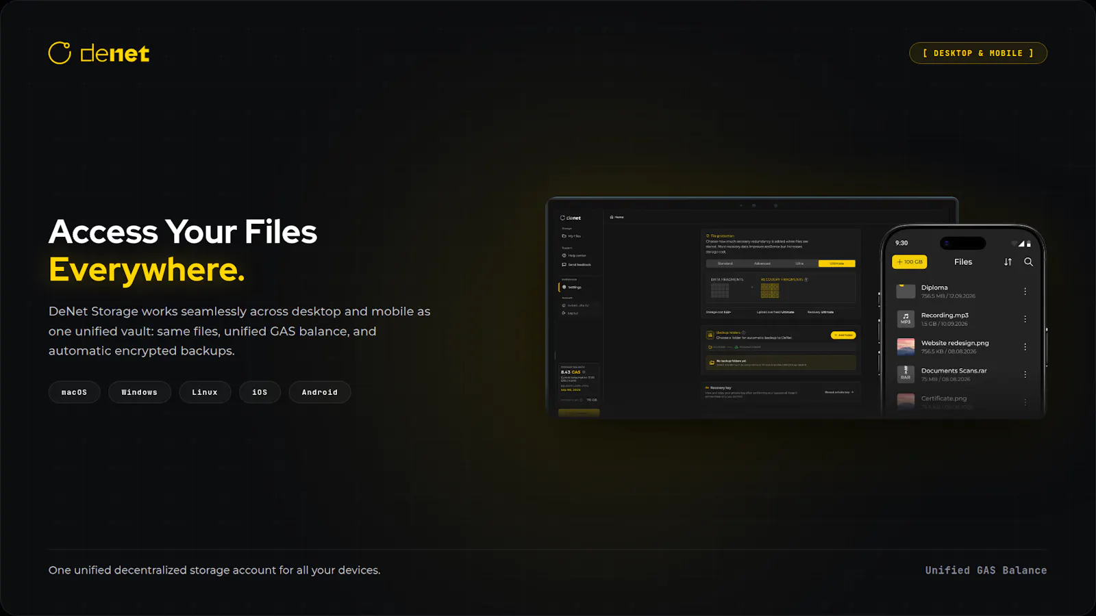 DeNet Storage Desktop screenshot 3