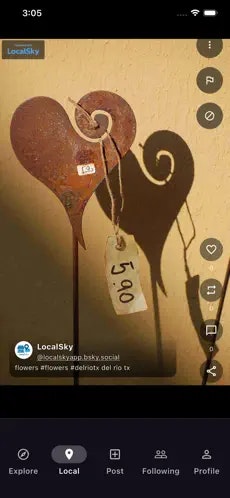 Localsky Marketplace - Screenshot 5 showing product features and functionality