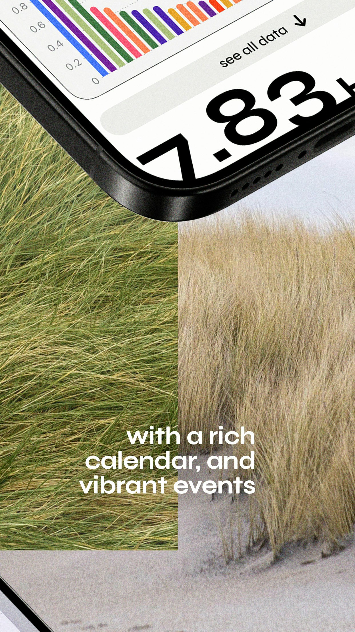 Recall gallery image