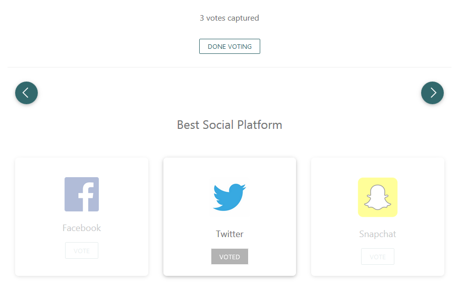 Online Voting gallery image