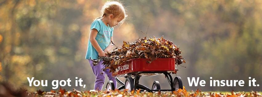 Morison Insurance Tillsonburg gallery image