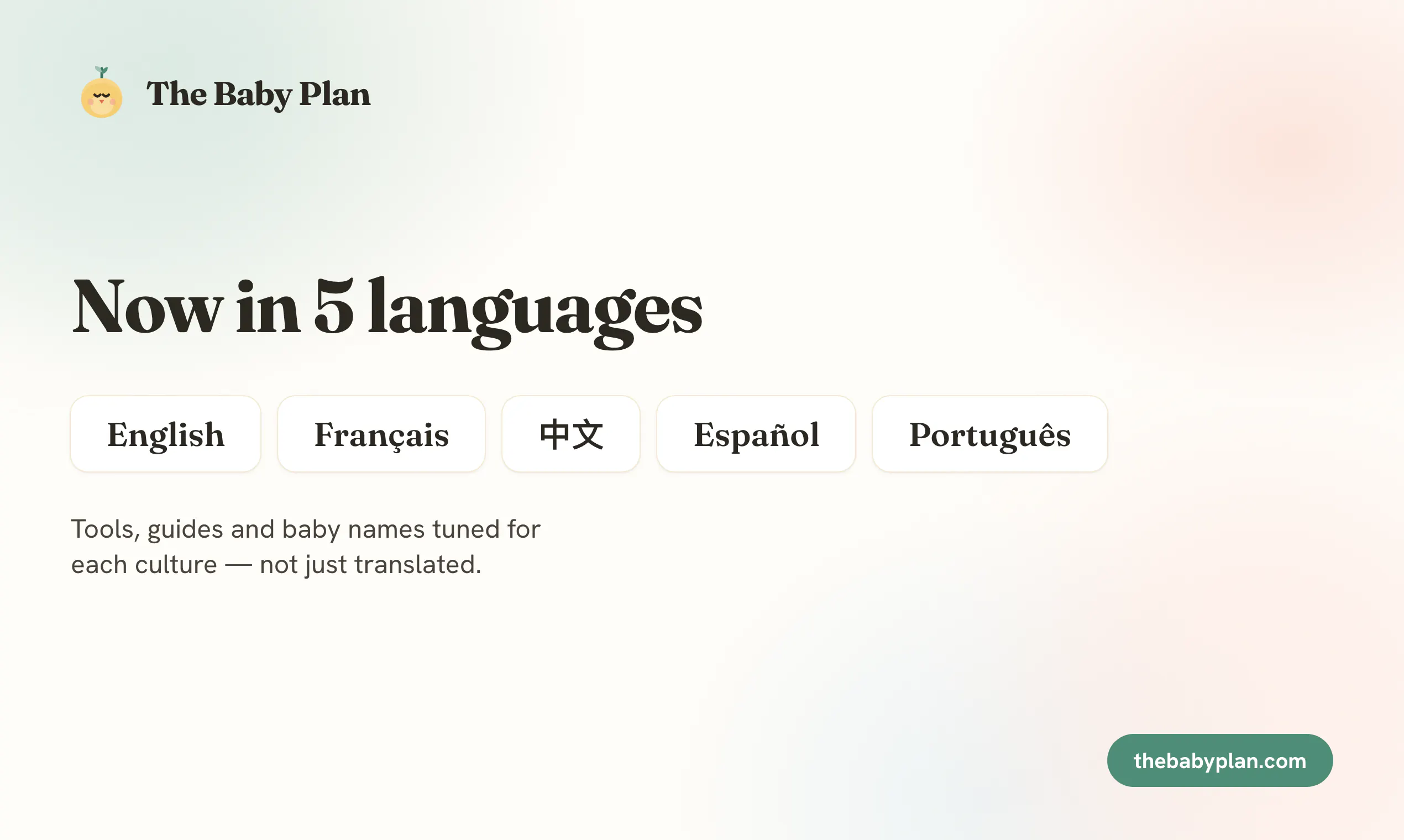 The Baby Plan gallery image