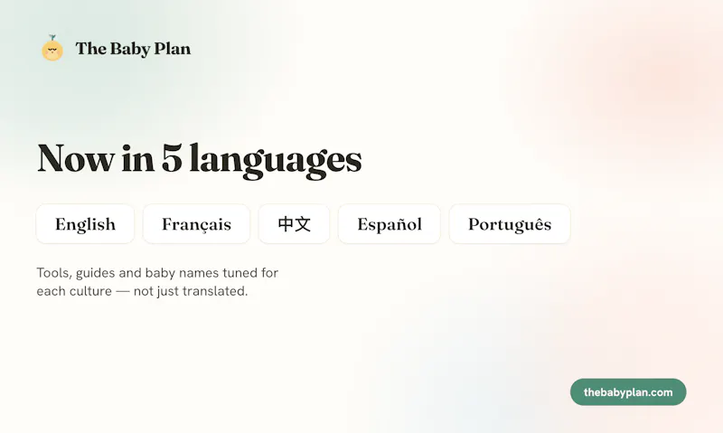 The Baby Plan screenshot 5