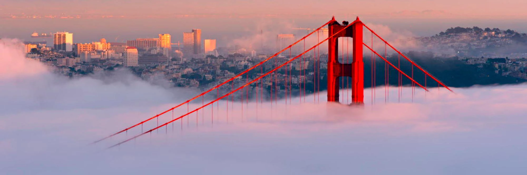 Isaac Rosenberg cover