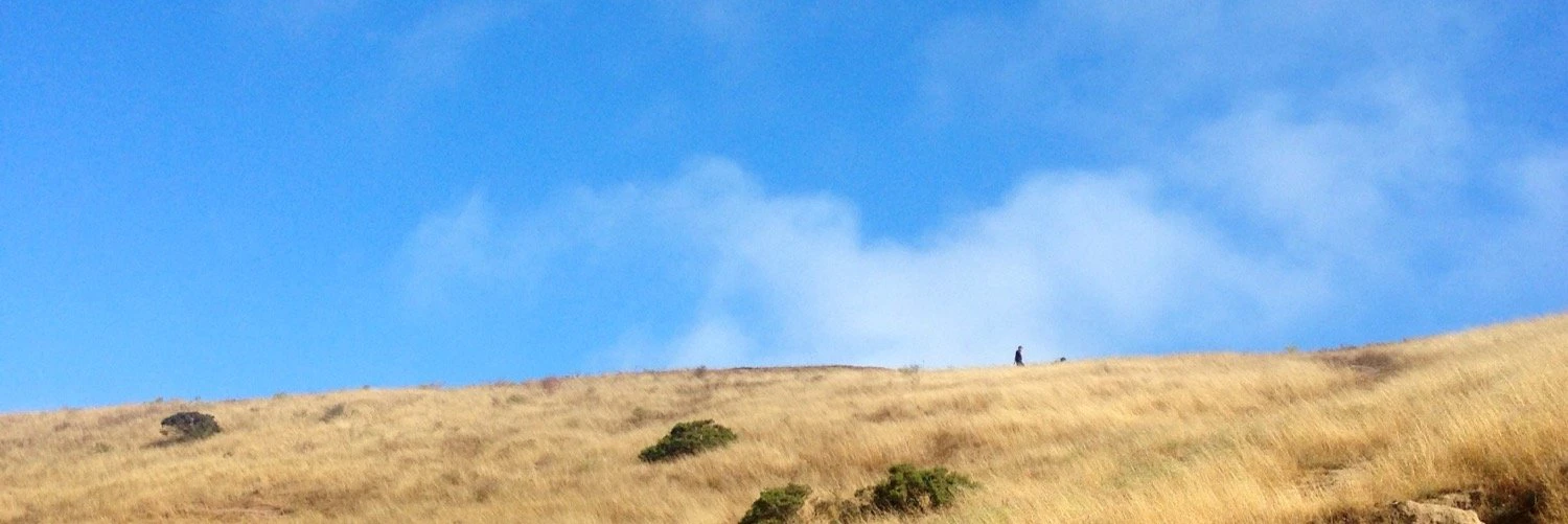 Christina Cacioppo cover