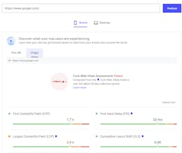 PageSpeed Insights gallery image