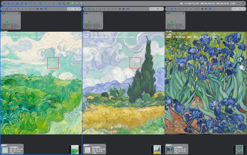 Domino Image Viewer screenshot 4
