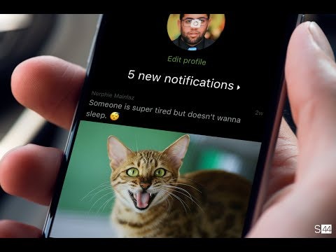 KittyKrush gallery image