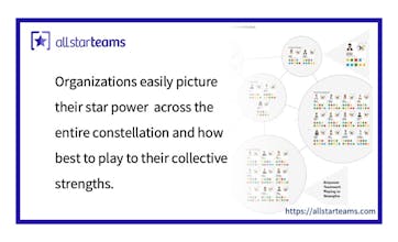 All Star Teams gallery image