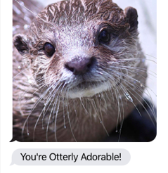 Send Otter Love