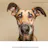 Friendly dog