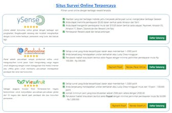 SurveyOnlineBerbayar.com gallery image