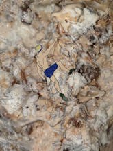 NFT, Nft-game gallery image