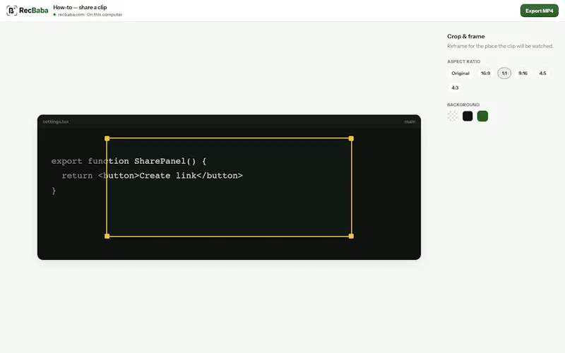RecBaba screenshot 2