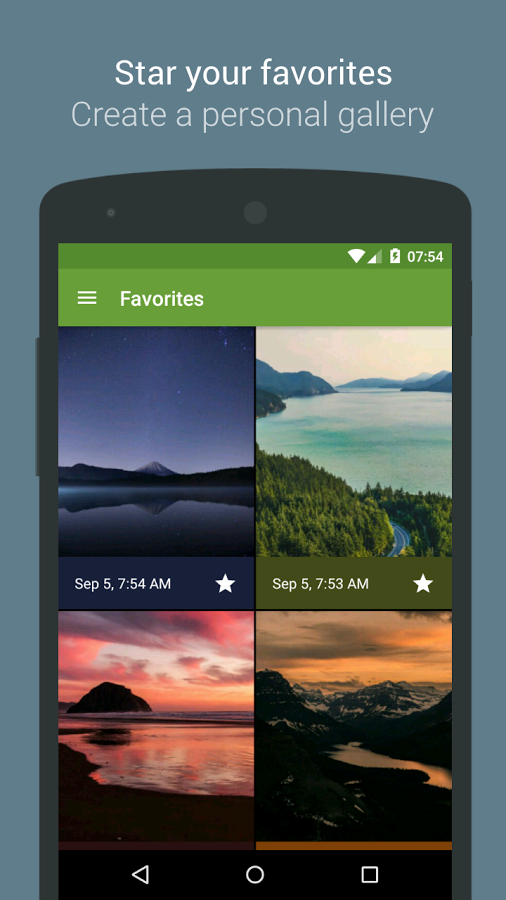 Wonderwall gallery image