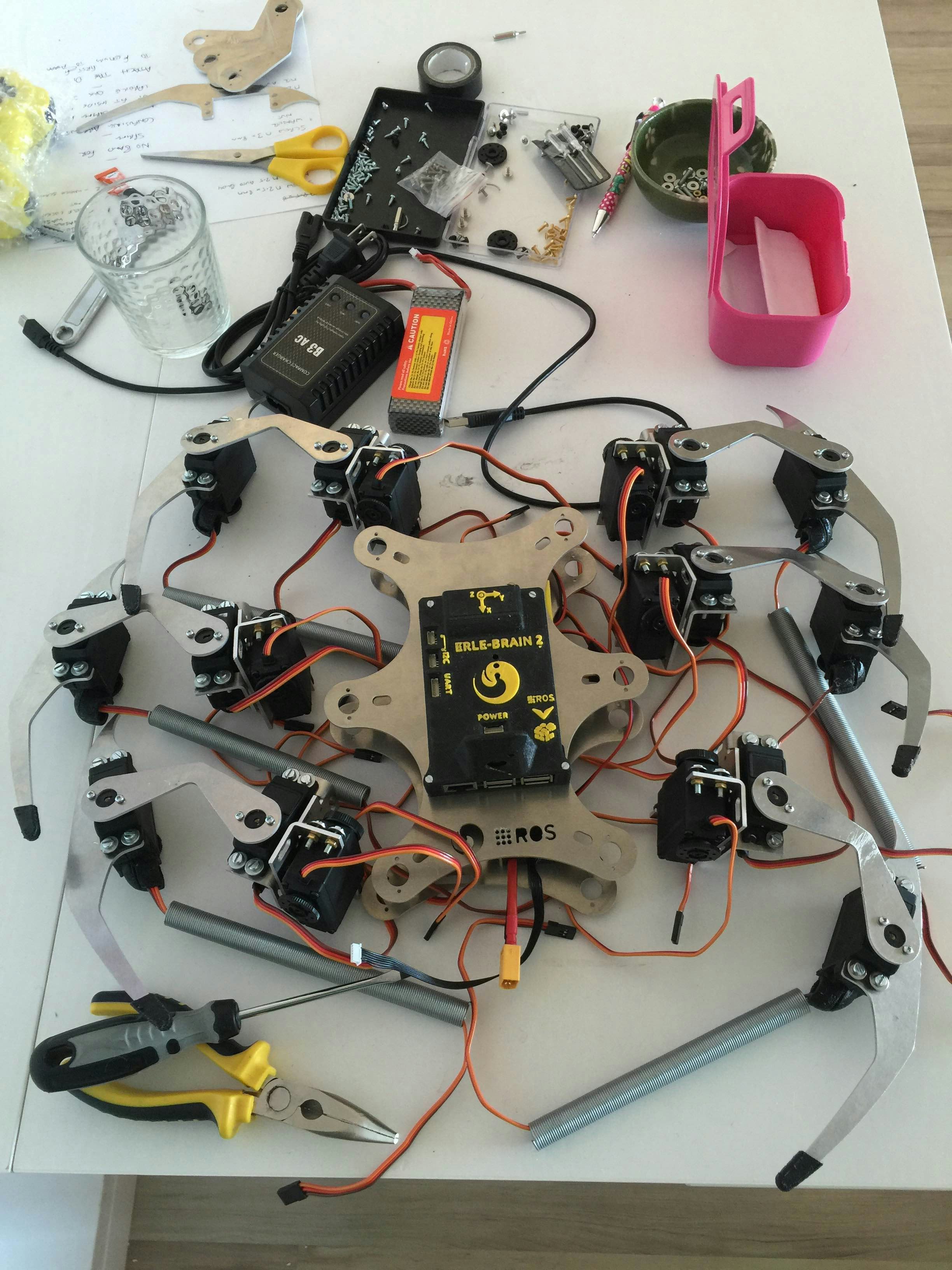 Erle-Spider gallery image