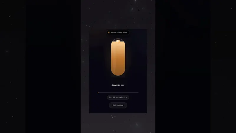 Where Is My Mind screenshot 1 (video preview)