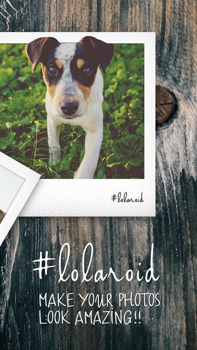 Lolaroid gallery image