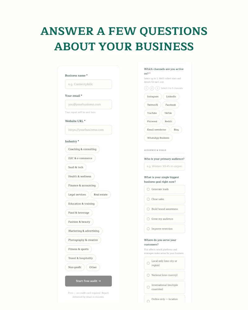 Contentphilic - Content Audit Tool screenshot 1
