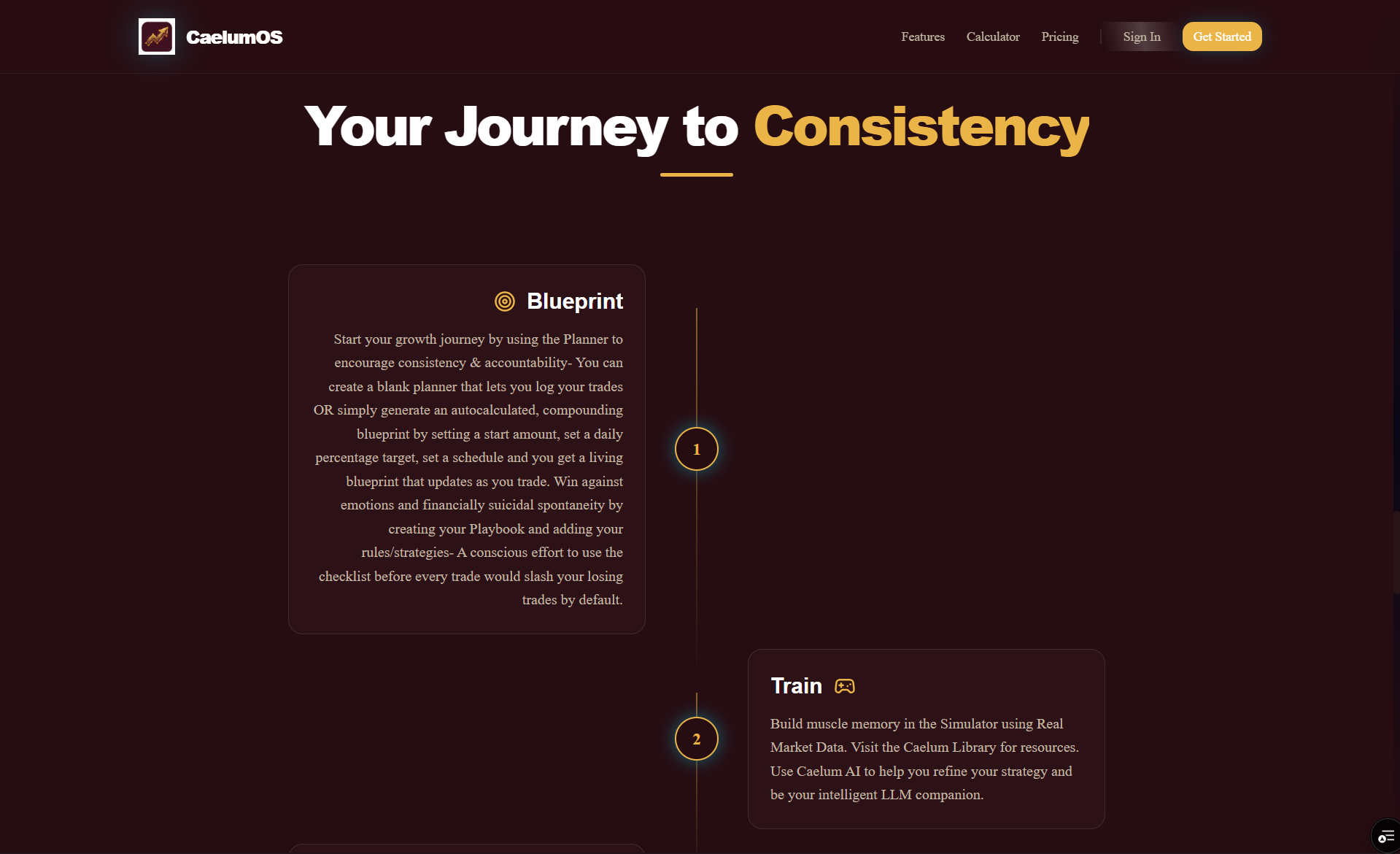 CaelumOS gallery image