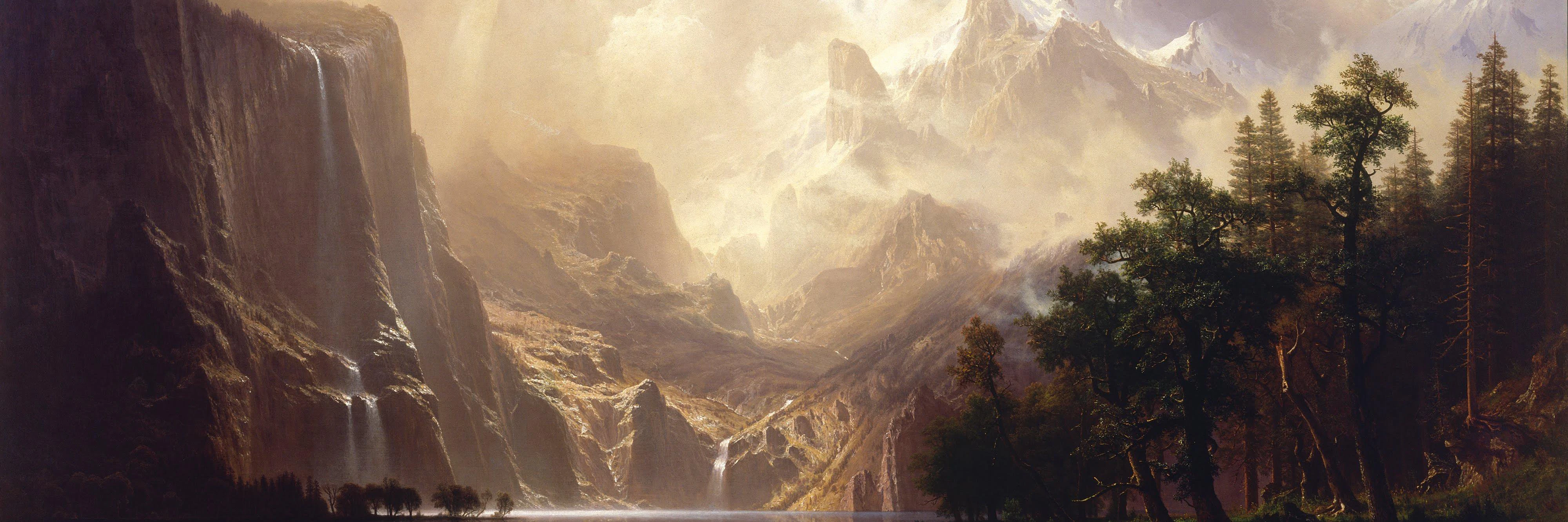 Hamza Siddiqui cover