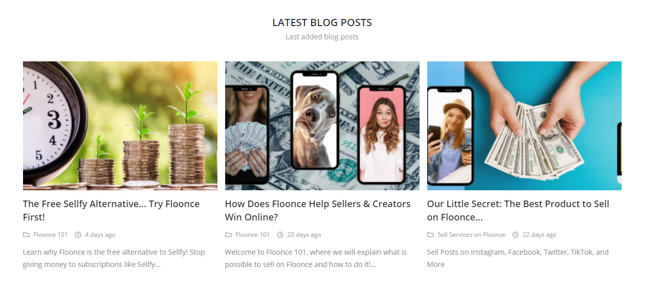 Floonce - Create a Free Shop gallery image