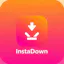 InstaDown