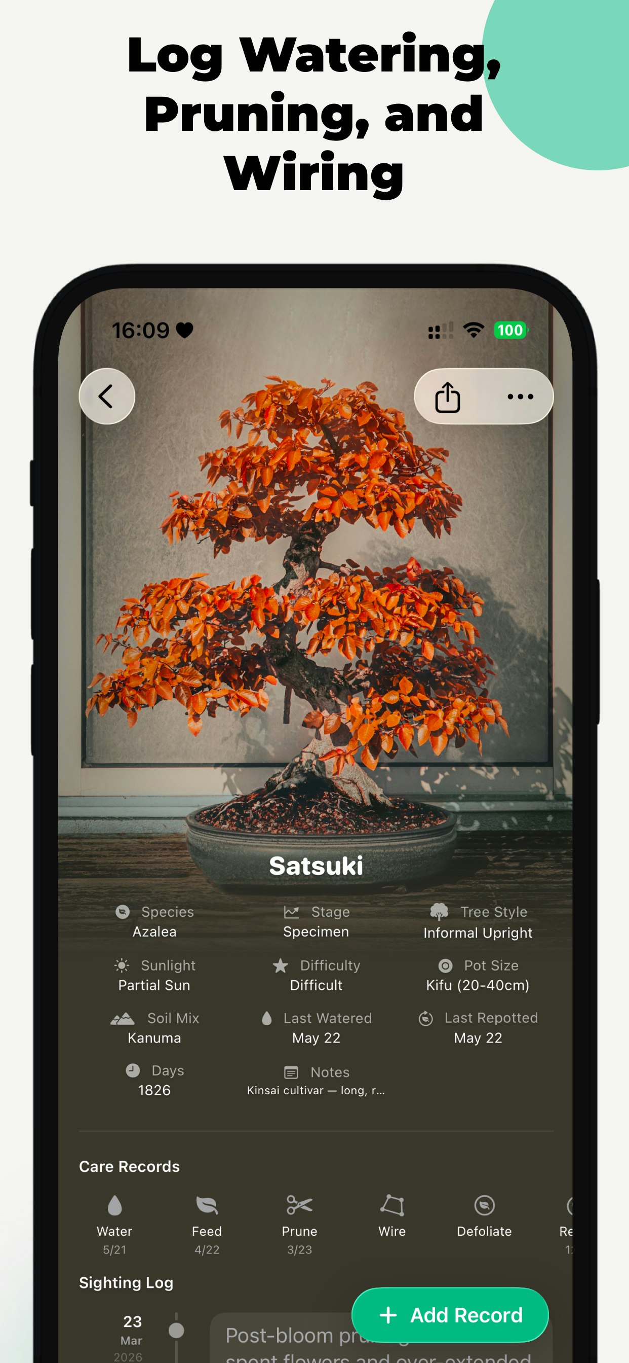 Bonsai — Care & Growth Journal gallery image