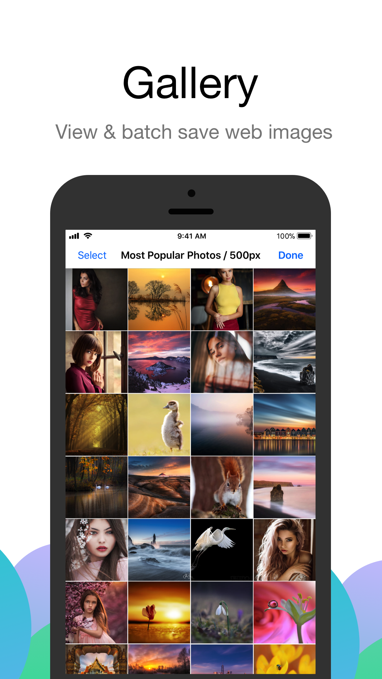 Alook Browser gallery image