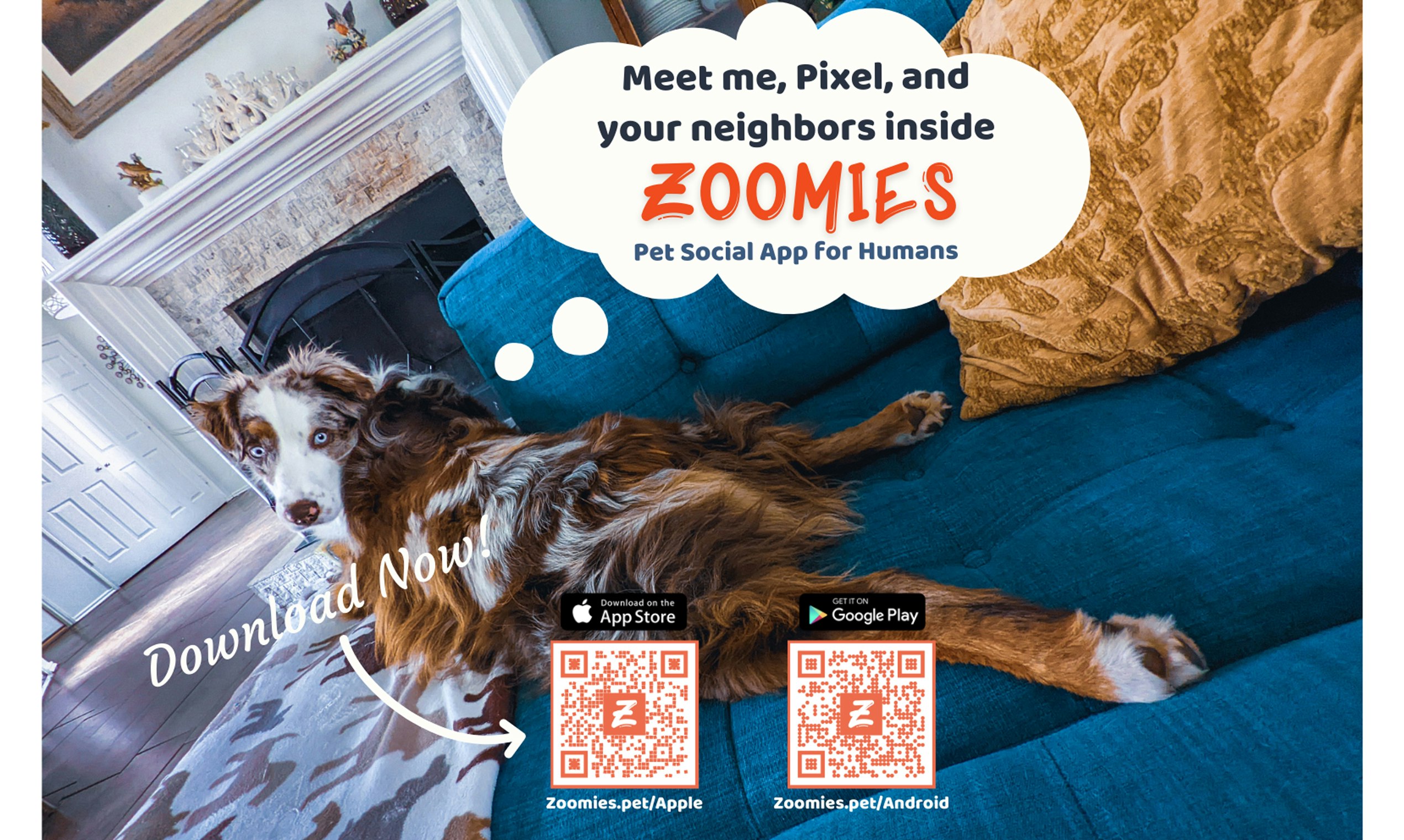 Zoomies Pet Social App for Humans gallery image