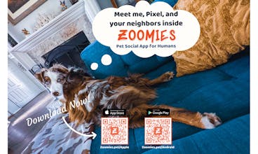Zoomies Pet Social App for Humans gallery image