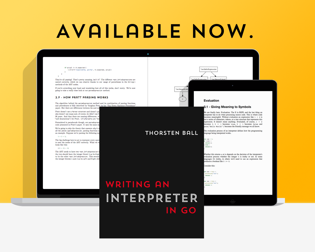 Writing An Interpreter In Go gallery image