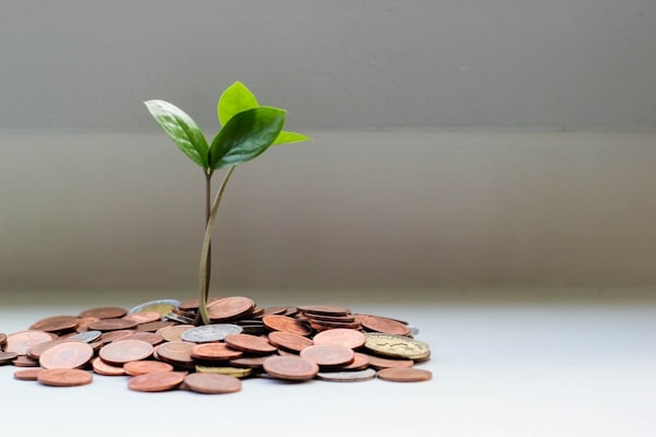 SideIncomeFinder gallery image