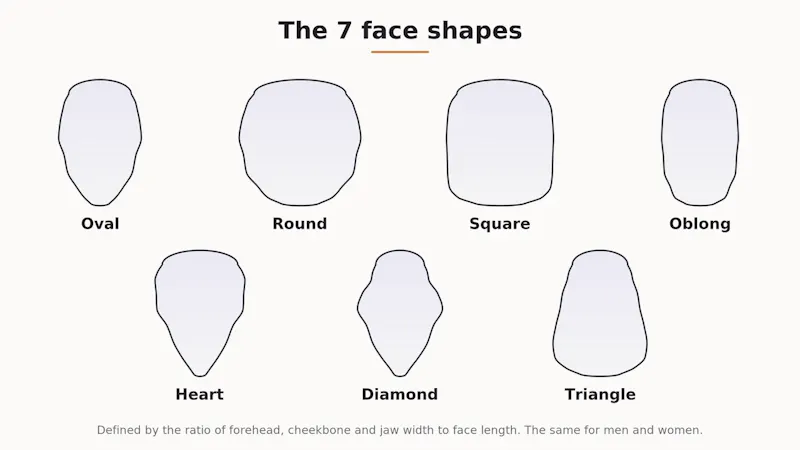 Face Shapes Detector screenshot 1