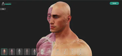 3D Anatomy Viewer 4 Artists gallery image