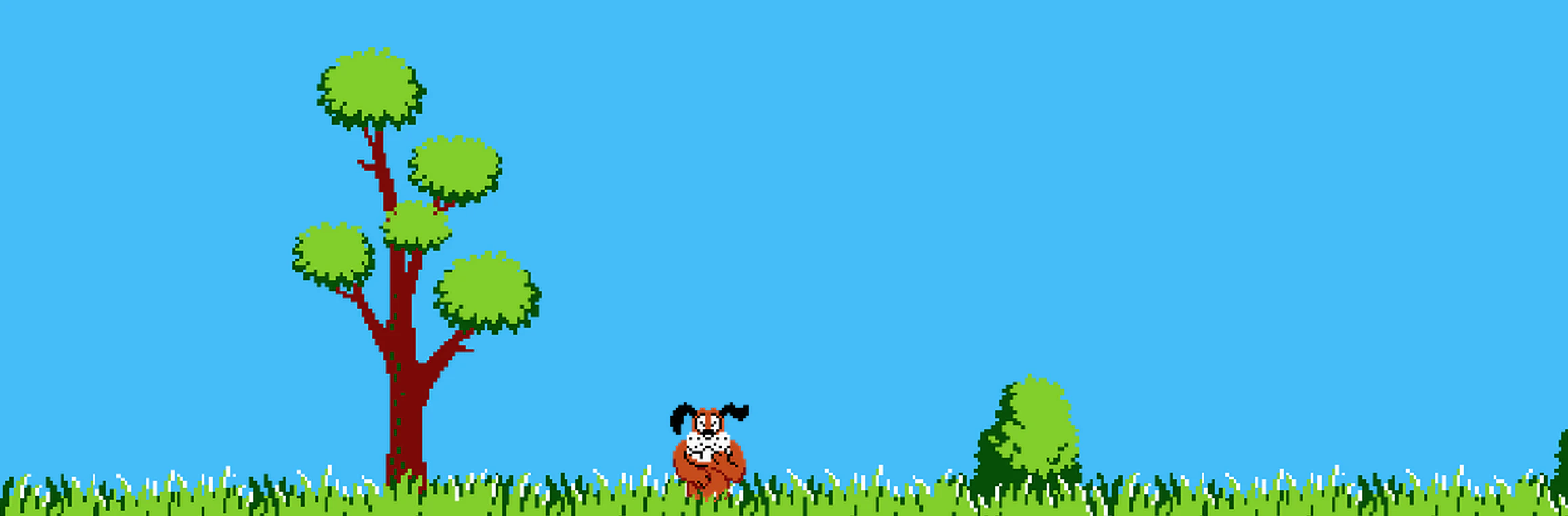 Duck Hunt CSS