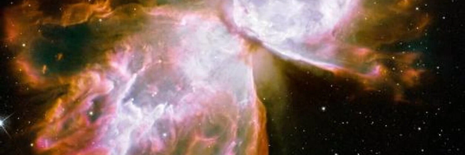 Will Leatherman cover