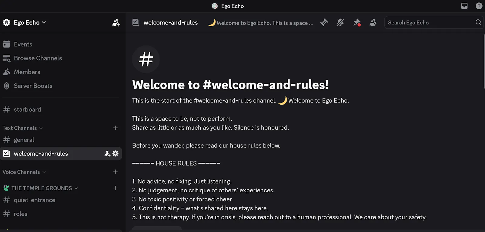 Ego Echo screenshot 5
