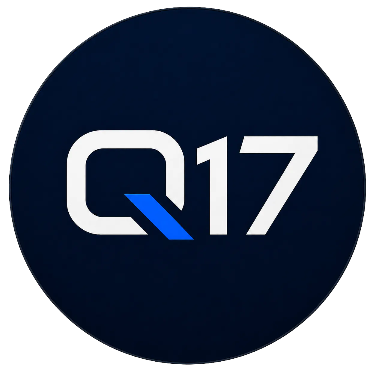 Q17 Private AI
