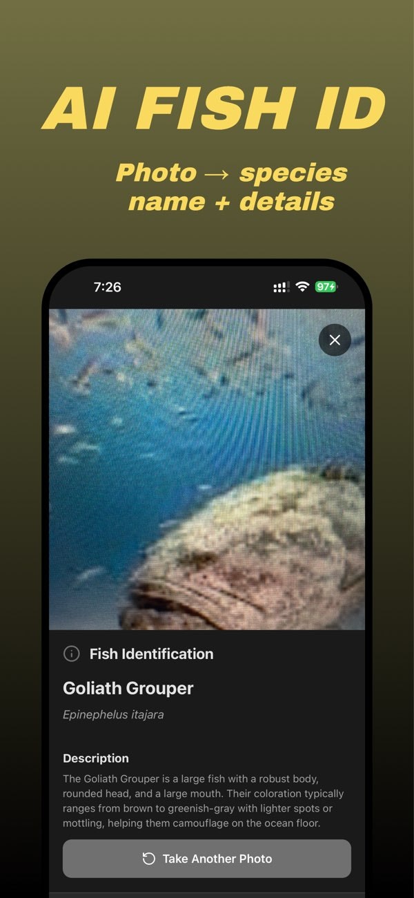 FishTime.ai gallery image