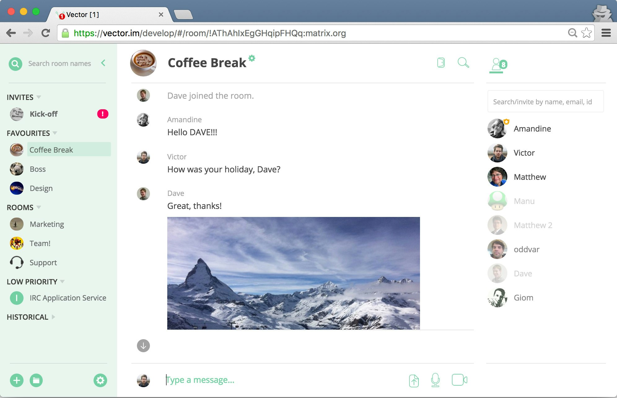 Vector.im gallery image