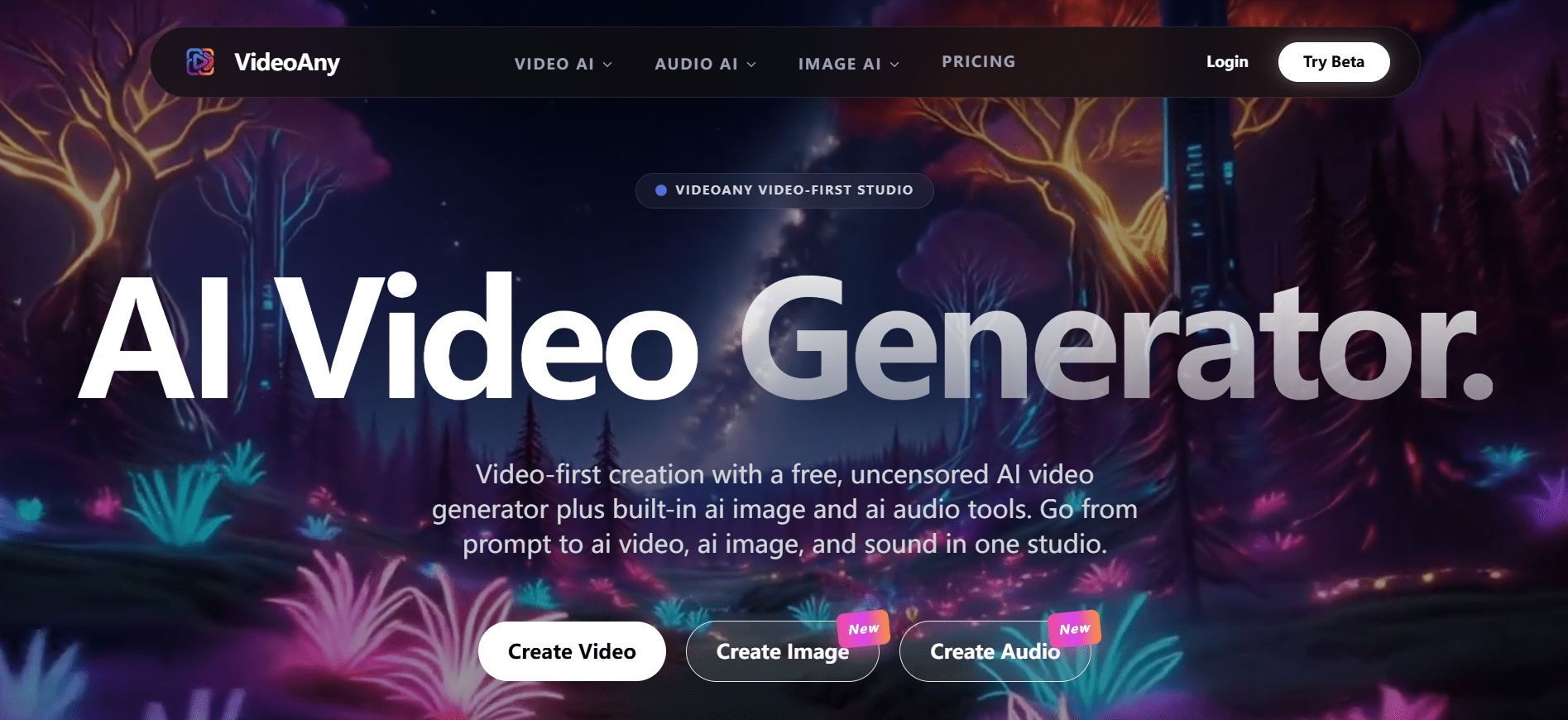 VideoAny gallery image